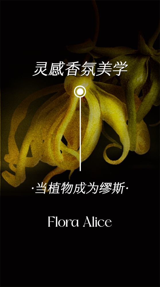 Flora Alice 当植物成为缪斯