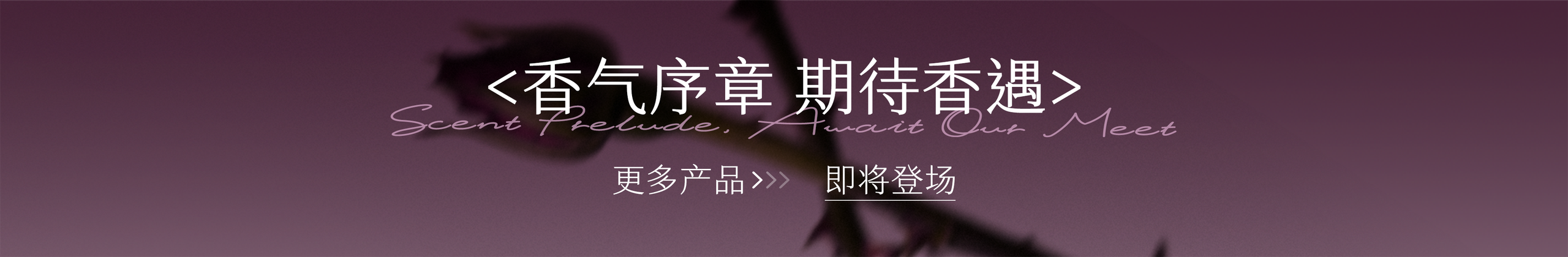 香气序章 期待香遇 · 更多产品即将登场